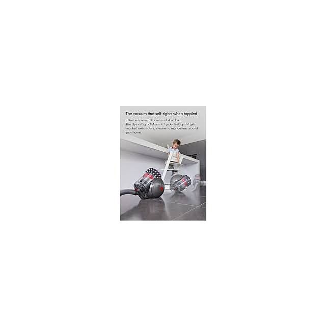 Dyson BIGBALLANIMAL2 Vacuum Cleaner- Iron/Sprayed Satin Purple/Iron