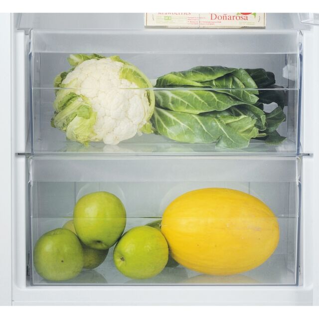Hotpoint HS18011 Built In Tall Fridge 55cm,  F Energy